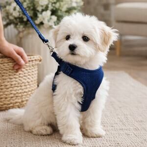Top Paw Navy Mesh Dog Harness XS Adjustable Comfort Puppy Small Pet Vest